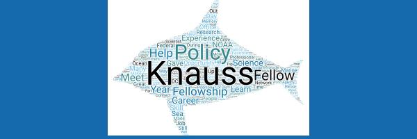 Knauss Fellowship word cloud in shape of a fish